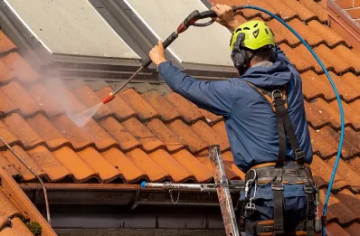 Démoussage et hydrofuge de toiture à Chalandray